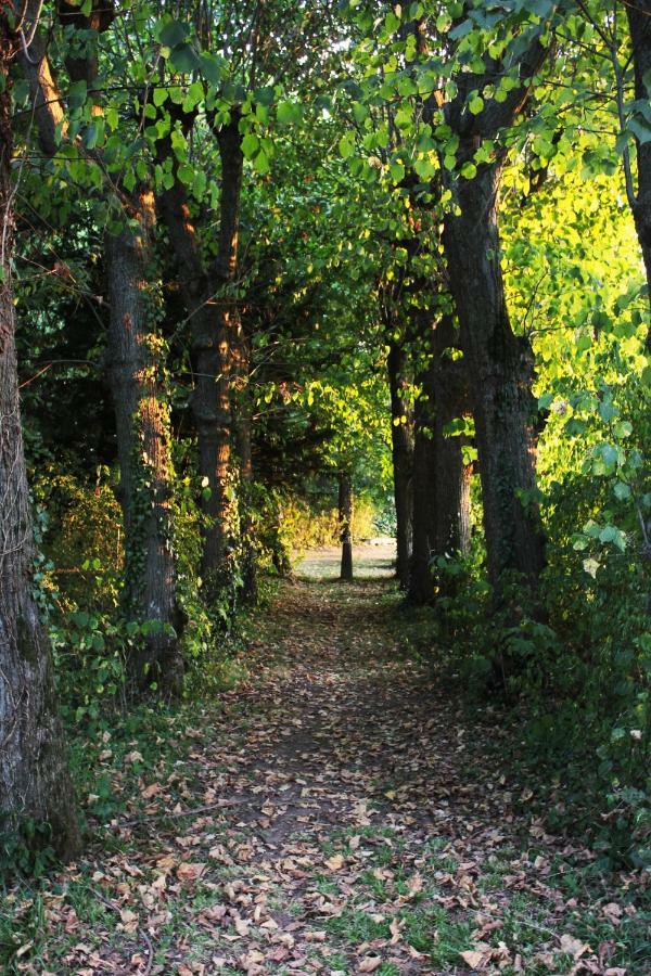 Domaine Des Lilas Saint-Germain-Lembron 外观 照片
